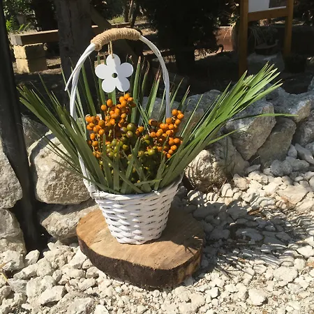 Sosta Camper Adenzia Campsite